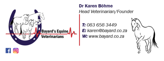 Dr Karen Bohme – Equine veterinarian